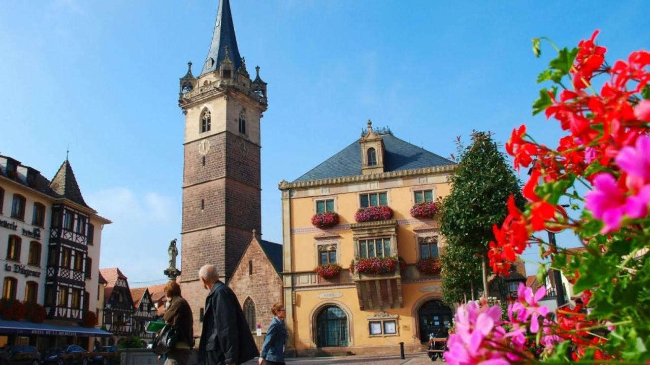 Gite Terre D'Helene 4 A 5 Pers Proche Strasbourg 42 M2, 3 Etoiles, Wifi, Paisible, Jardin, Proche Commerces,16 Atouts, Animaux Acceptes Berstett Kültér fotó