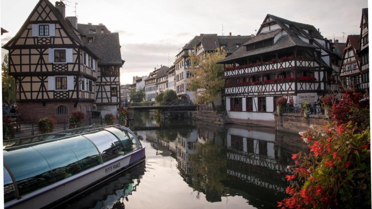 Gite Terre D'Helene 4 A 5 Pers Proche Strasbourg 42 M2, 3 Etoiles, Wifi, Paisible, Jardin, Proche Commerces,16 Atouts, Animaux Acceptes Berstett Kültér fotó