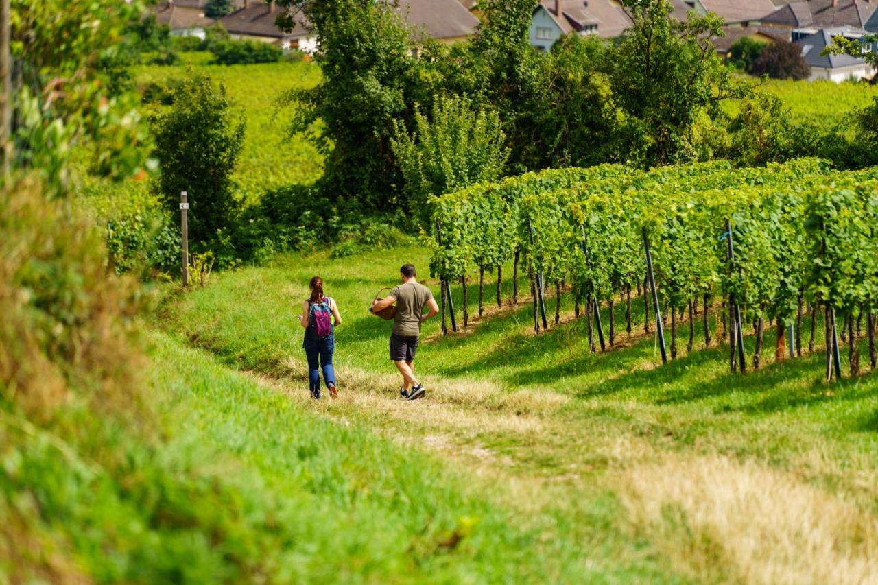 Gite Terre D'Helene 4 A 5 Pers Proche Strasbourg 42 M2, 3 Etoiles, Wifi, Paisible, Jardin, Proche Commerces,16 Atouts, Animaux Acceptes Berstett Kültér fotó